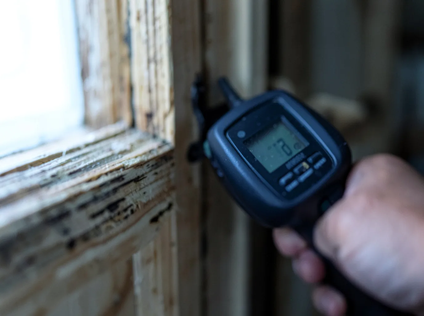 Moisture Inspection And Documentation in Hinesburg, VT
